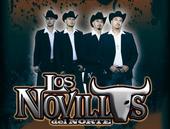 LOS NOVILLOS DEL NORTE "A. D. A" profile picture