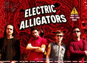 electric alligators profile picture