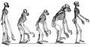 The de-Evolutionary Process profile picture