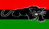 THE REVOLUTIONARY BLACK PANTHER PARTY profile picture