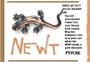 NeWt ;Â¬# ;Â¬( ;Â¬+ profile picture