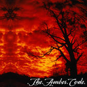 The Amber Code profile picture