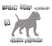 WhyteBoys Records & DogTown Productions profile picture