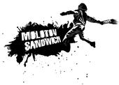 Molotov Sandwich On Semi-Pemananent Hiatus profile picture