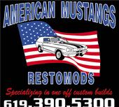 American Mustangs profile picture