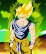 gokuâ„¢{leader of the Z.F} profile picture