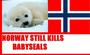 SaveTheSeals SalviamoLeFoche SauvonsLesPhoques profile picture