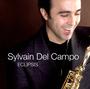 Sylvain Del Campo profile picture