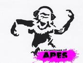 a shrewdness of APES profile picture