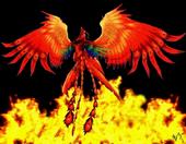 phoenix_rising22