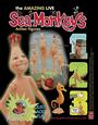 Sea Monkey profile picture