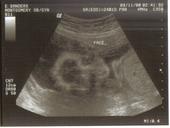 I'm Having A Girl! profile picture