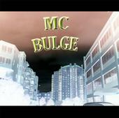 MC BULGE profile picture