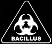 Bacillus profile picture