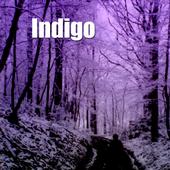 Indigo profile picture