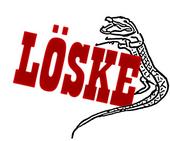 LÃ–SKE profile picture