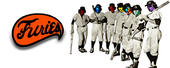 Baseball Furies profile picture