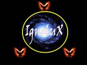 ignolux