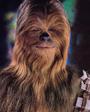 Chewie profile picture