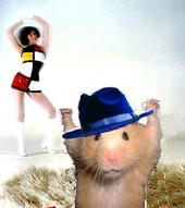 Winkweid - The MySpace Hamster Pimp profile picture