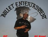 Bullet Entertainment profile picture