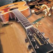 TANGLEWOOD GUITARS profile picture