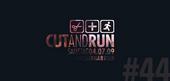 CutAndRun profile picture