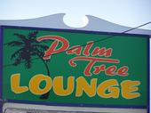 Palm Tree Lounge profile picture