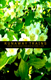 Runaway Trains profile picture