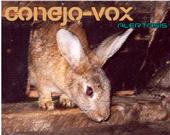 conejo - vox profile picture