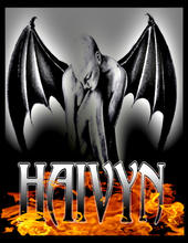 Haivyn profile picture