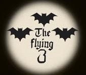 The Flying 3 profile picture