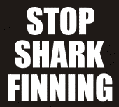 stop_shark_finning