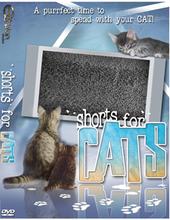 Shorts For Cats profile picture