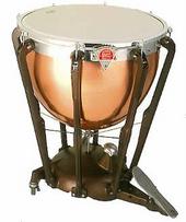 Timbal Fest profile picture