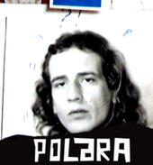 polara profile picture