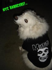 NYCBarkcore! profile picture