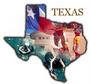 The Texas Holistic Network profile picture