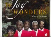 The Joy Wonders profile picture