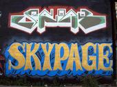 SKYPAGE profile picture