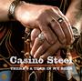 Casino Steel profile picture