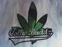 COLLIE BUDDZ profile picture