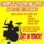 Cherry Blossom Melodies *NEEDS A DRUMMER* profile picture