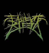 Fallen To Bleed [is writing new songs] profile picture