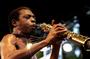 Femi Kuti profile picture