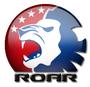 ROAR profile picture