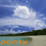 pointx profile picture