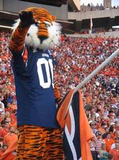 Aubie profile picture