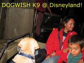 The DOGWISH Foundation profile picture