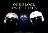 One Blood Two Sounds profile picture